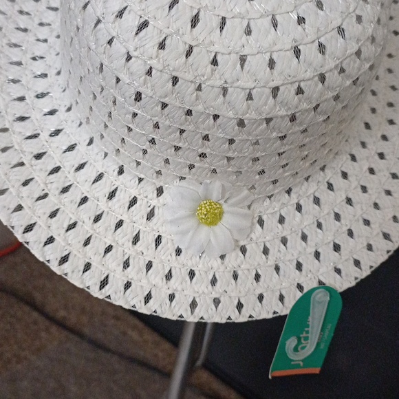 Hat - Picture 2 of 3